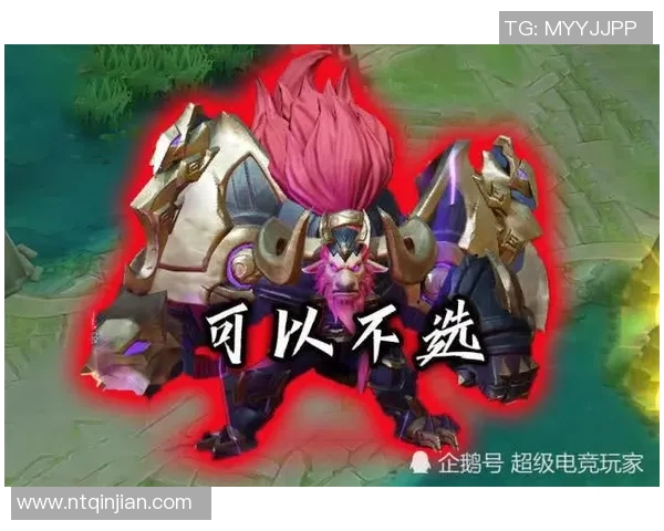 赵伟的英雄联盟人生揭秘S15电竞总决赛背后的故事与思考