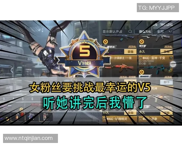 和平精英V5版本深度解析与反击策略全面升级探讨